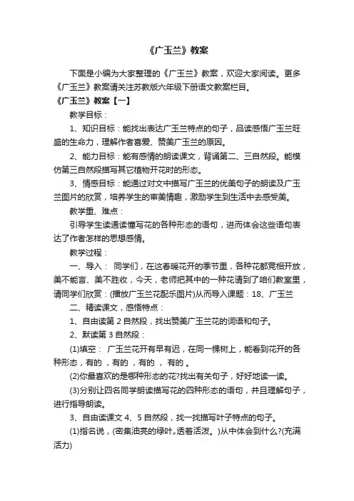 《广玉兰》教案