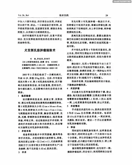 犬双侧乳腺肿瘤摘除术