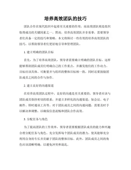 培养高效团队的技巧
