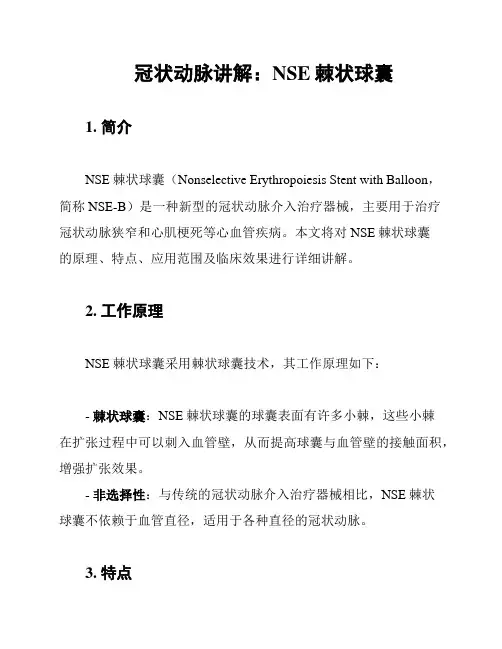 冠状动脉讲解：NSE棘状球囊