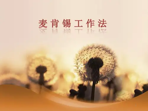 麦肯锡工作法PPT课件