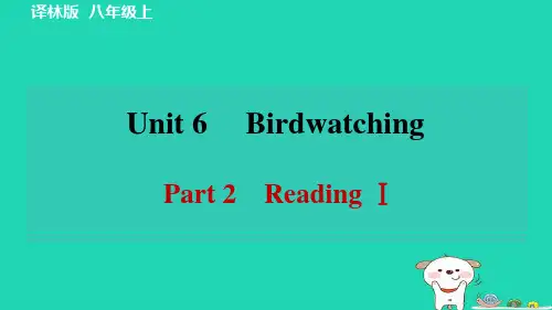 八年级上册Unit6Part2ReadingⅠ习题牛津译林版