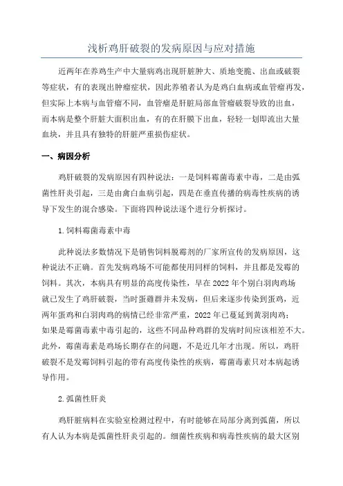 浅析鸡肝破裂的发病原因与应对措施