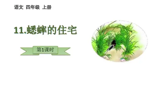 《蟋蟀的住宅》PPT教学课件