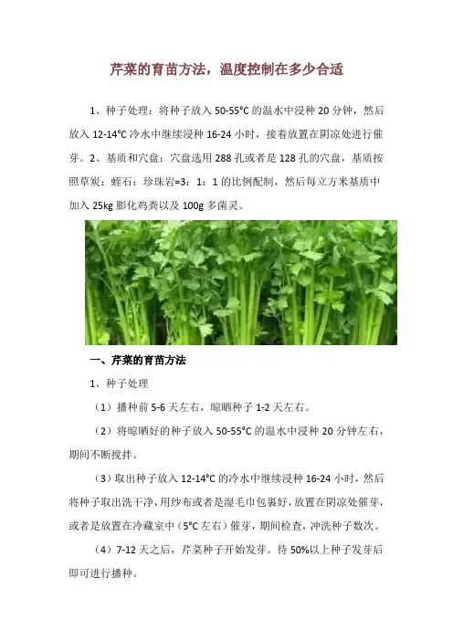 芹菜的育苗方法,温度控制在多少合适