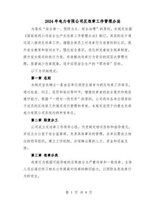 2024年电力有限公司反违章工作管理办法（二篇）