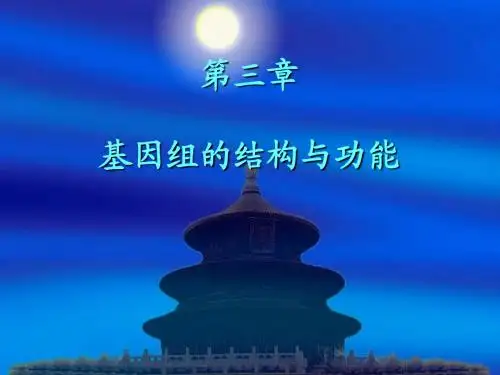 基因组