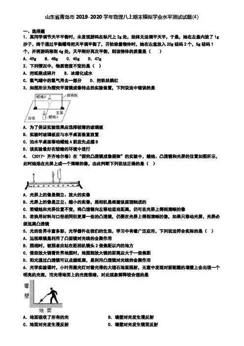 山东省青岛市2019-2020学年物理八上期末模拟学业水平测试试题(4)