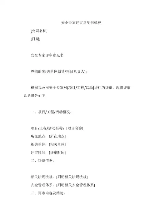 安全专家评审意见书模板