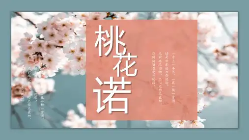 桃花主题通用模板