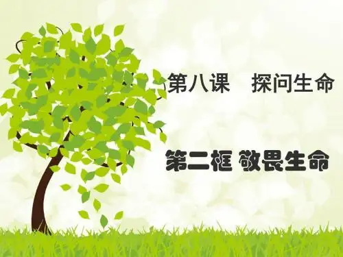 新人教版《道德与法治》七年级上册8.2《敬畏生命》公开课课件