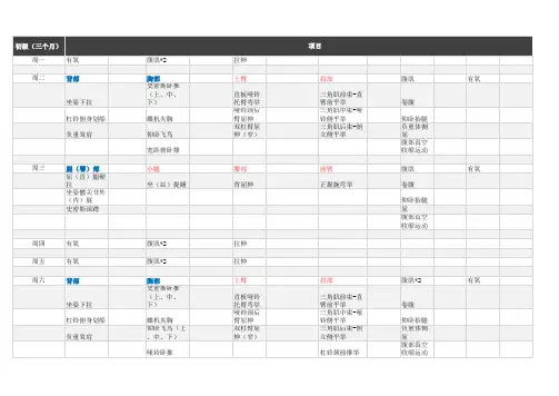 个人适合初级健身训练计划Excel表