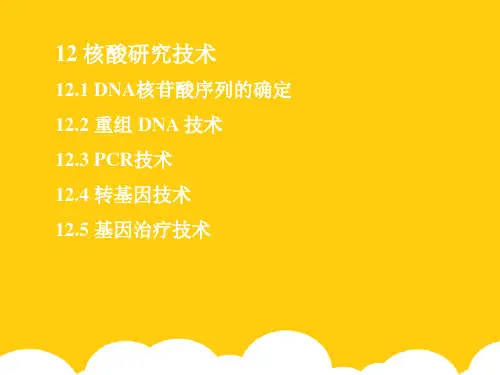 【实用】DNA核苷酸序列的确定PPT文档