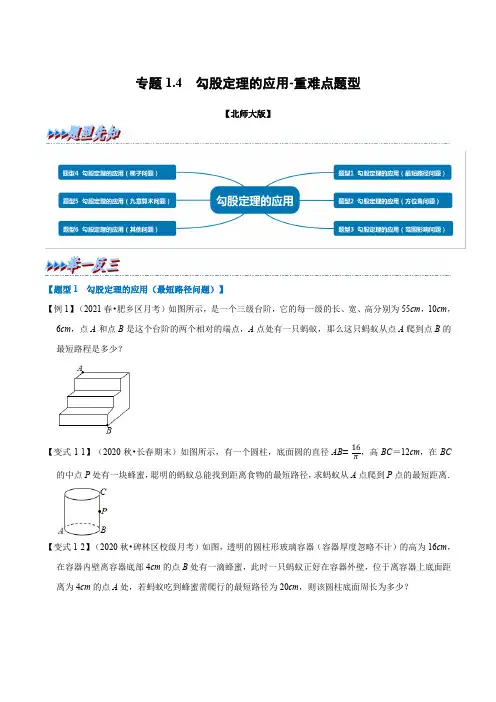 专题1-4 勾股定理的应用-重难点题型(举一反三)(北师大版)(原卷版)