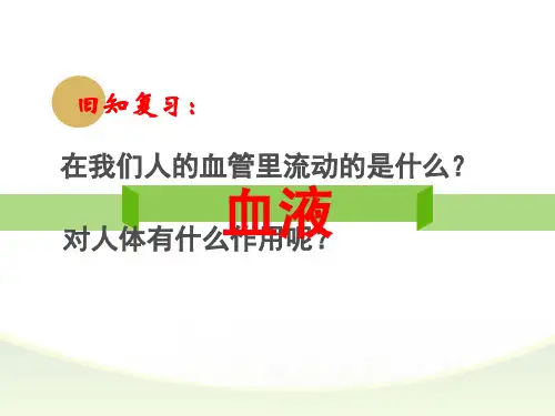 人教版七年级生物下册第四单元第四章 第四节 输血与血型 课件(共28张PPT)