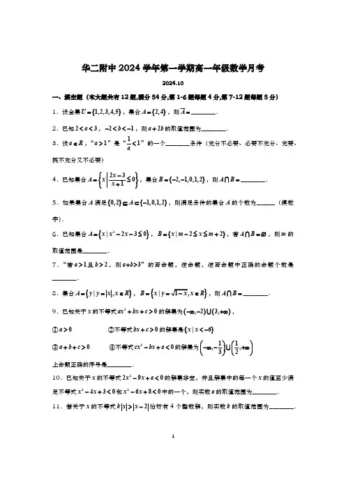 2024-2025学年上海华东师范大学二附中高一上学期数学月考试卷及答案(2024.10)(含答案)