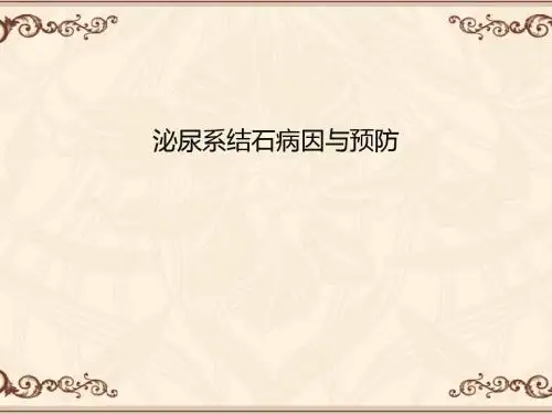 泌尿系结石病因与预防  ppt课件