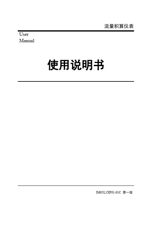 FX2000流量积算仪