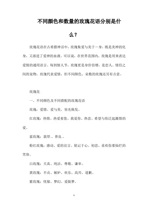 不同颜色和数量的玫瑰花语分别是什么？