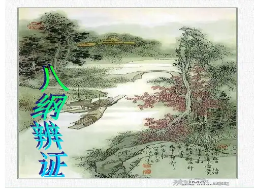 中医八纲