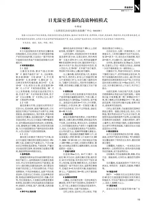 日光温室番茄的高效种植模式