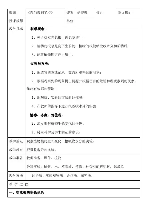 三年级下册科学教案-1.3 我们先看到了根｜教科版