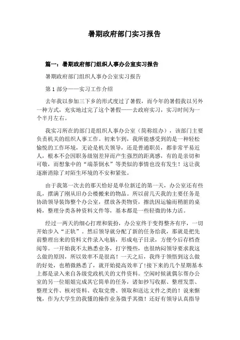 暑期政府部门实习报告