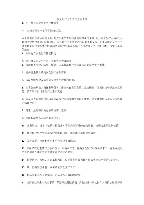安全生产五个责任主体责任安全生产
