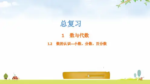 北师大版六年级下册数学课件数的认识小数、分数、百分数