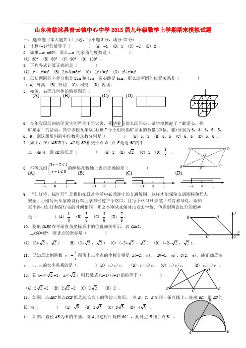 山东省临沭县青云镇中心中学九年级数学上学期期末模拟