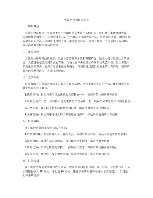 大蒜创业项目计划书