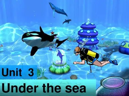 高二英语人教课标选修7 Unit 3 Under the sea课件
