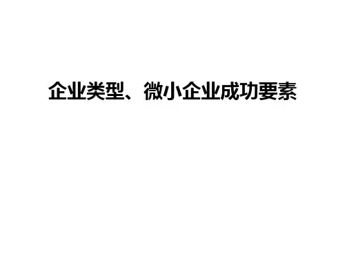 企业类型、微小企业成功要素讲课教案