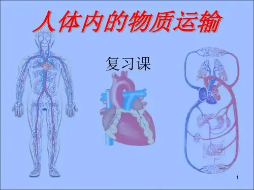 最后复习第四章人体内物质的运输复习课ppt课件