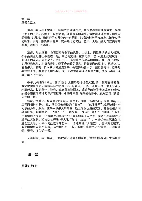 山东聊城中考满分作文三篇风景在路上 (2)