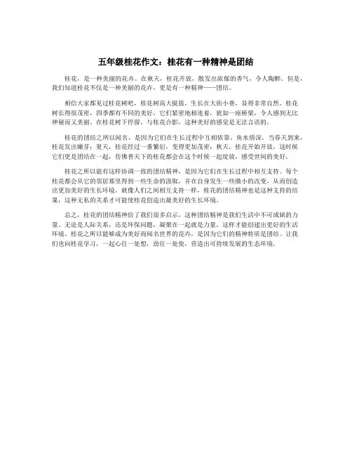 五年级桂花作文：桂花有一种精神是团结