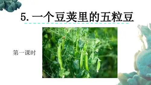 部编人教版四年级上册语文《5 一个豆荚里的五粒豆》PPT课件