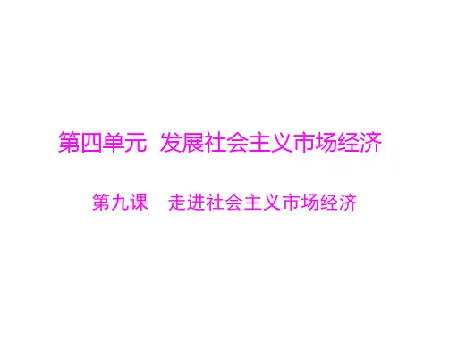 新高考政治通用版总复习一轮课件第一部分必修1第四单元第九课走进社会主义市场经济