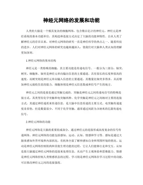 神经元网络的发展和功能
