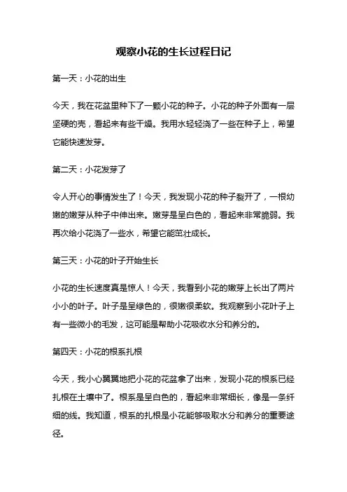 观察小花的生长过程日记