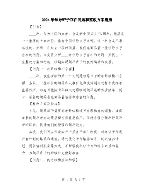 2024年领导班子存在问题和整改方案措施