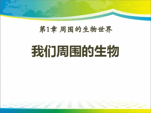 《我们周围的生物》PPT课件【完美版课件】