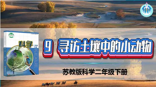 苏教版科学二年级下册9寻访土壤中的小动物PPT课件