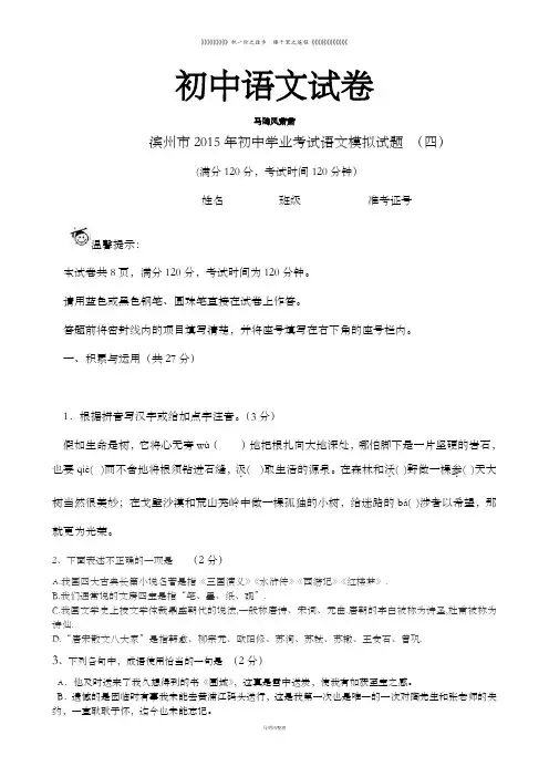中考专题  山东省滨州市 语文模拟试题(四)及答案