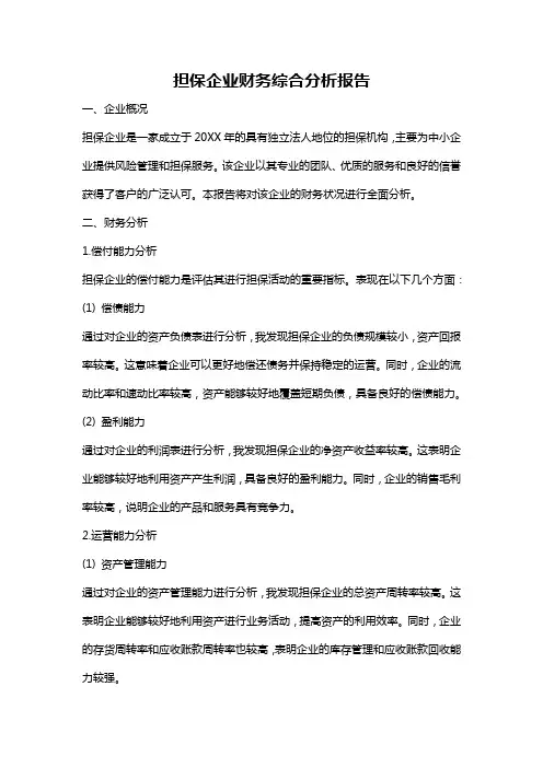担保企业财务综合分析报告