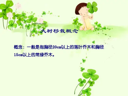 大树移栽工程施工PPT课件02