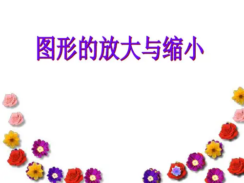 六年级下册数学课件4.1 图形的放大与缩小苏教版