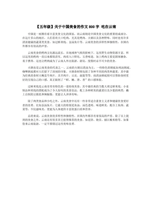 【五年级】关于中国美食的作文800字 吃在云南