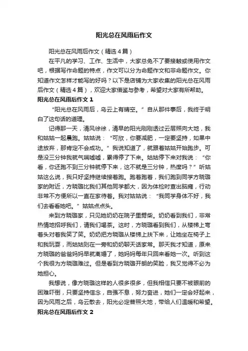 阳光总在风雨后作文