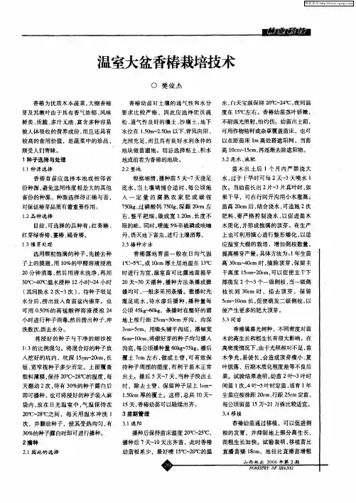 温室大盆香椿栽培技术